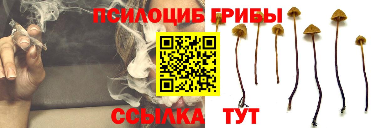 Галлюциногенные грибы мицелий  Псилоцибиновые грибы Cubensis  Вход с VPN  Алексеевка 